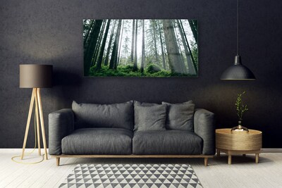 Üvegkép falra Természet Erdei fák