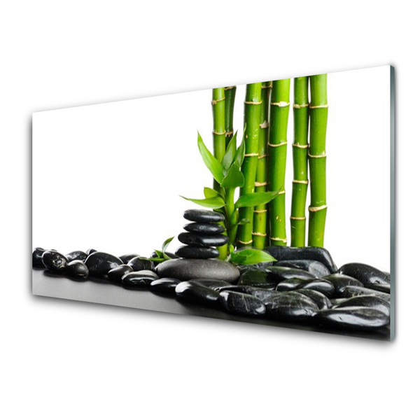 Fali üvegkép Bamboo gyönyörű grafika