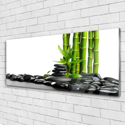 Fali üvegkép Bamboo gyönyörű grafika