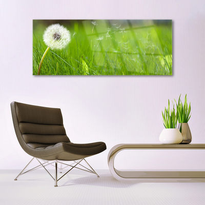Fali üvegkép Dandelion Grass Plant