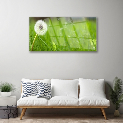 Fali üvegkép Dandelion Grass Plant
