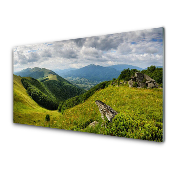 Üvegkép Mountain Meadow Landscape