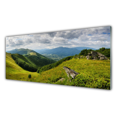 Üvegkép Mountain Meadow Landscape