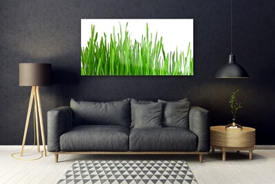 Üvegkép Grass Nature Plant