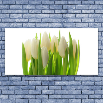 Üvegkép falra Plant tulipánok Természet