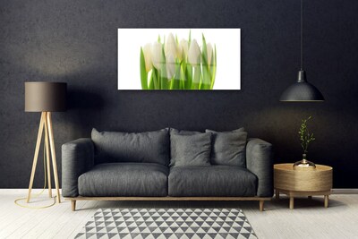 Üvegkép falra Plant tulipánok Természet