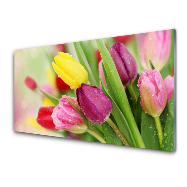 Modern üvegkép Tulipán virágok Plant