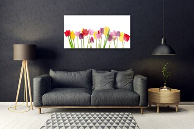 Modern üvegkép Tulipán virágok Plant