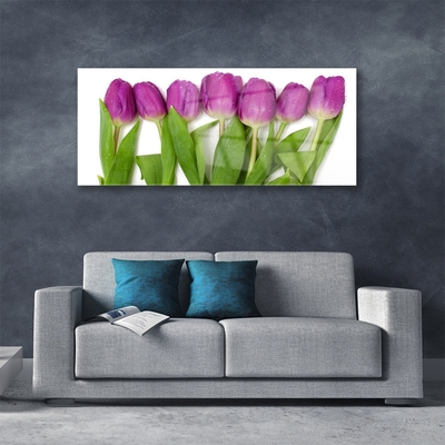 Fali üvegkép Tulipán virágok Plant