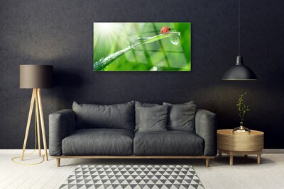 Üvegkép Grass Nature katicabogár