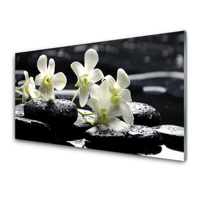 Üvegkép falra Stones orchidea növény