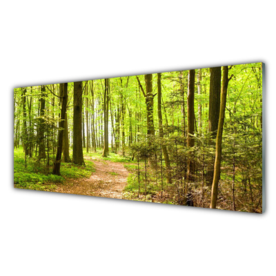 Üvegkép falra Forest Path Természet