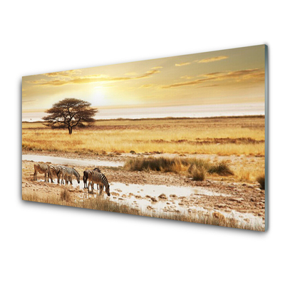 Üvegkép Zebra Safari Landscape