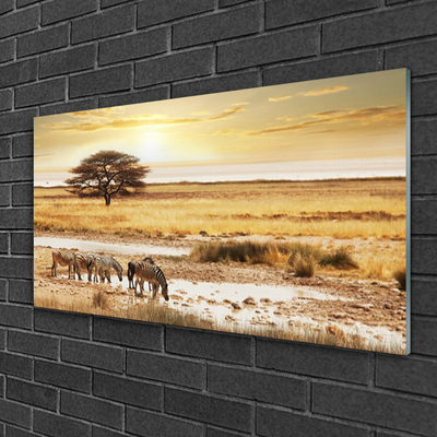 Üvegkép Zebra Safari Landscape