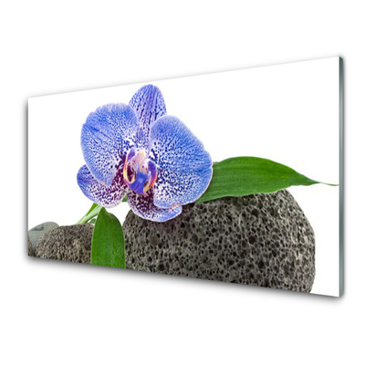 Üvegfotó Természet virág növény