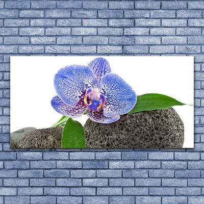 Üvegfotó Természet virág növény