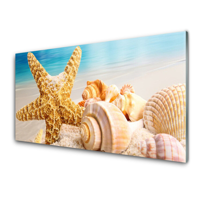 Üvegfotó Starfish Shell Art