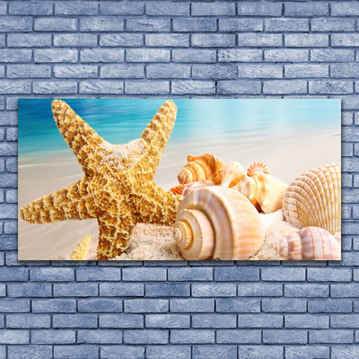 Üvegfotó Starfish Shell Art