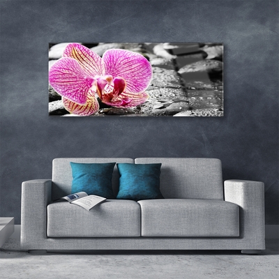 Modern üvegkép Orchidea virág Stones