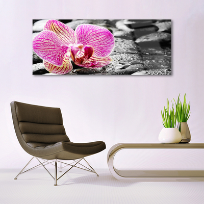 Modern üvegkép Orchidea virág Stones