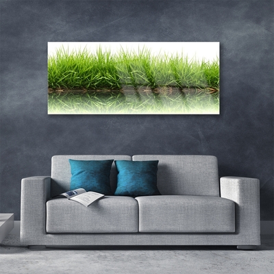 Modern üvegkép Grass Nature Plant