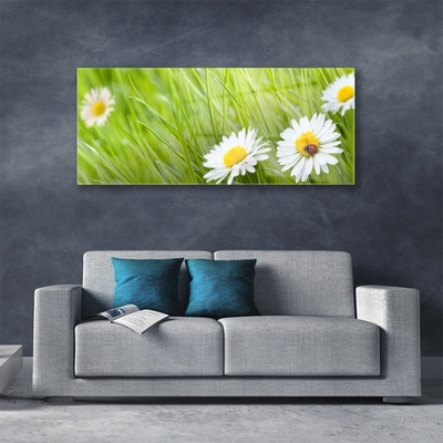 Modern üvegkép Grass Nature Daisies