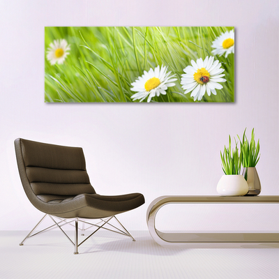 Modern üvegkép Grass Nature Daisies