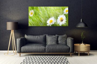 Modern üvegkép Grass Nature Daisies