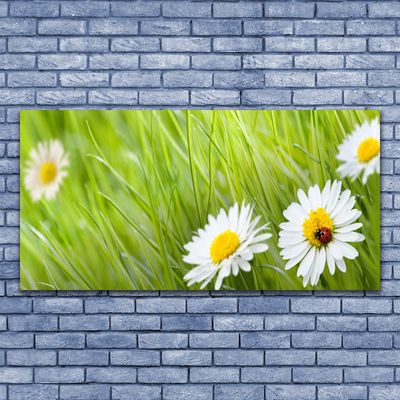 Modern üvegkép Grass Nature Daisies