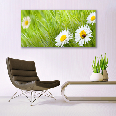 Modern üvegkép Grass Nature Daisies