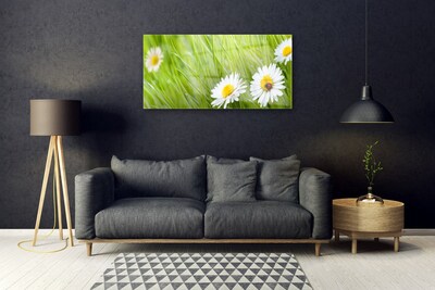 Modern üvegkép Grass Nature Daisies