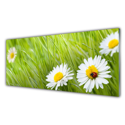 Modern üvegkép Grass Nature Daisies