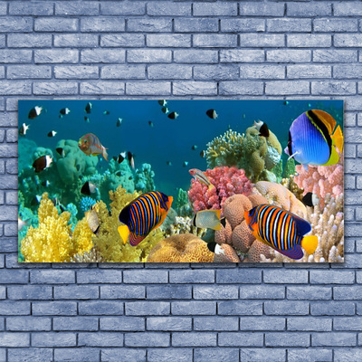 Fali üvegkép Barrier Reef Nature