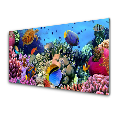 Modern üvegkép Barrier Reef Nature