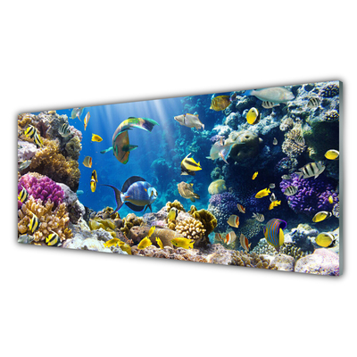 Fali üvegkép Barrier Reef Nature