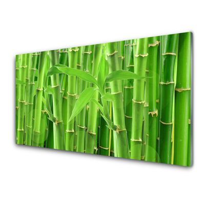 Modern üvegkép Bamboo Stem Flower Plant