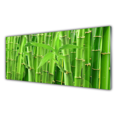 Modern üvegkép Bamboo Stem Flower Plant