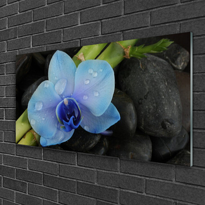 Fali üvegkép Stones virág növény