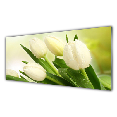 Üvegfotó Tulipán virágok Plant