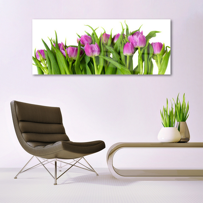 Üvegkép falra Tulipán virágok Plant