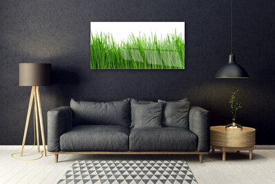 Fali üvegkép Grass Nature Plant