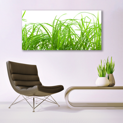 Fali üvegkép Grass Nature Plant