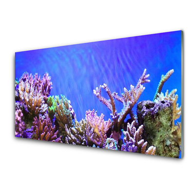 Üvegkép Barrier Reef Nature
