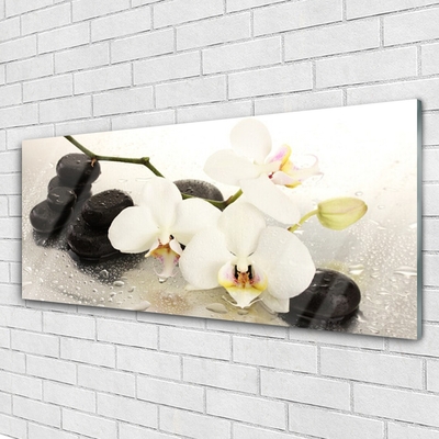 Üvegfotó Szép virág orchidea