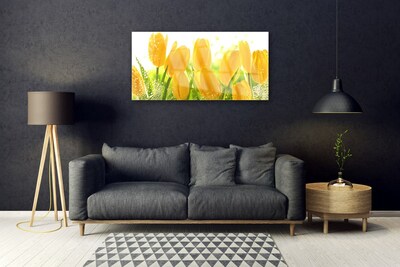 Modern üvegkép Tulipán virágok Plant