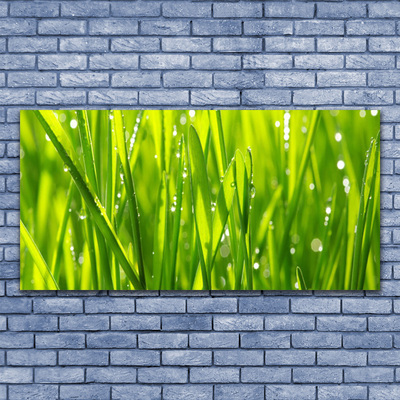 Üvegkép Grass Nature Plant