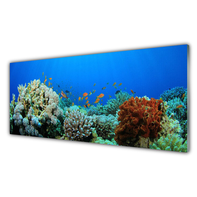 Modern üvegkép Barrier Reef Nature