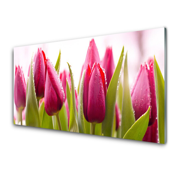 Üvegkép Tulipán virágok Plant
