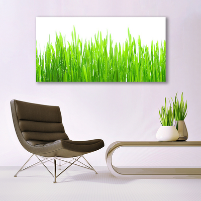 Modern üvegkép Grass Nature Plant