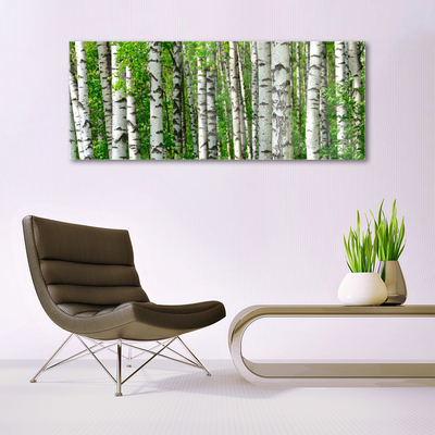 Üvegkép Nature Plant Erdei fák